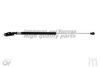 ASHUKI N925-82 Gas Spring, boot-/cargo area